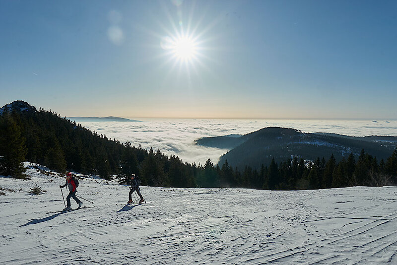 Schneeschuhtour am Arber Bayerischer Wald